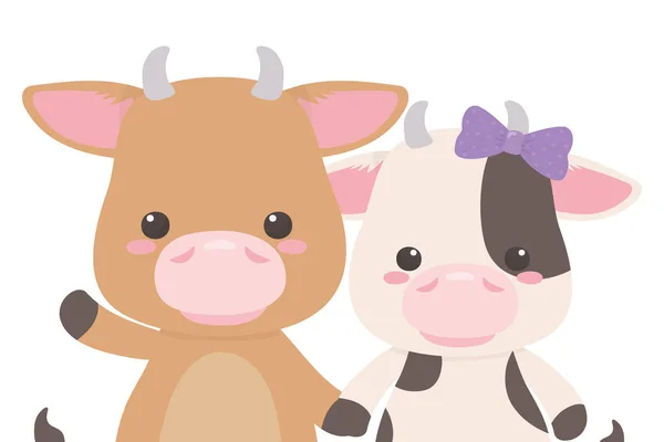 Stier und Kuh Cartoon-Design — Stockvektor