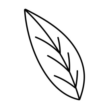 İzole yaprak tasarım vektör illüstrasyon