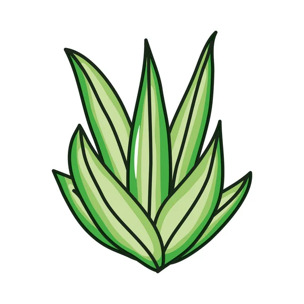 Naturaleza vegetal ecología icono aislado — Vector de stock