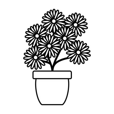 seramik çömlek dekorasyon ayçiçeği bahçe