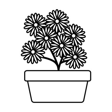 kare seramik pot dekorasyon ayçiçeği bahçe