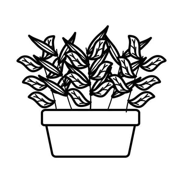 Φυτό σπίτι σε τετράγωνο κεραμικό pot — Διανυσματικό Αρχείο