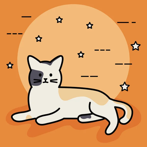 Aranyos macska kabalája imádnivaló karakter — Stock Vector