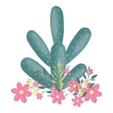 Çiçek taçlı egzotik kaktüs bitkisi