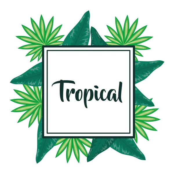 Marco cuadrado con hojas tropicales — Vector de stock