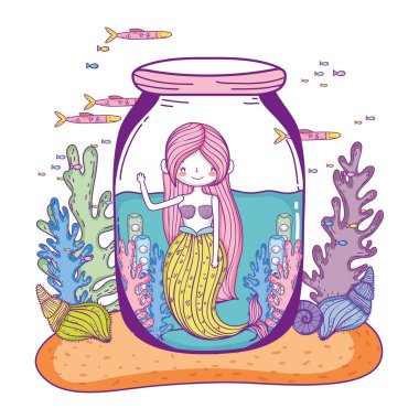 yosun ile mason kavanozda güzel denizkızı