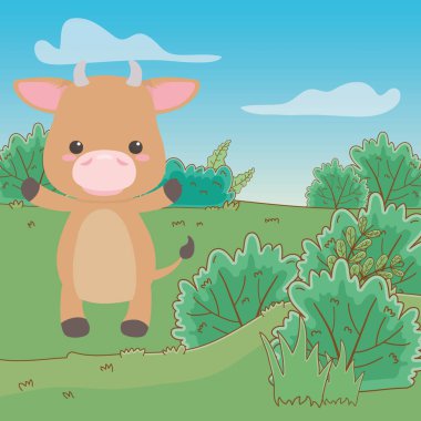 Boğa karikatür tasarım vector Illustrator