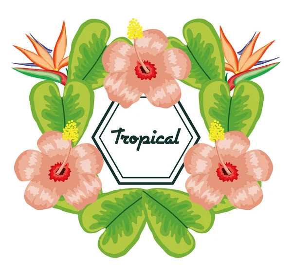 Geometriai keret trópusi virágokkal és levelekkel — Stock Vector