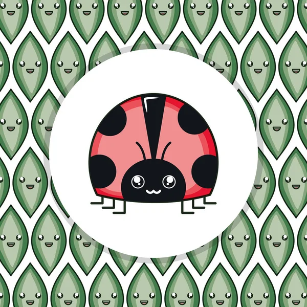 Schattig lieveheersbeestje insect kawaii karakter — Stockvector