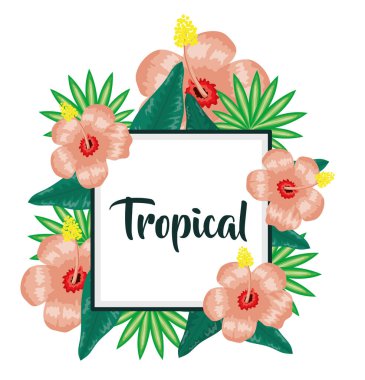 square frame with tropical flowers and leafs