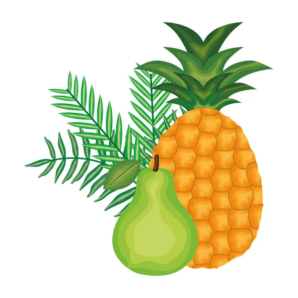 Taze armut ve ananas meyveleri — Stok Vektör