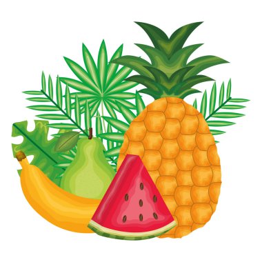 Taze karpuz ve tropikal meyveler