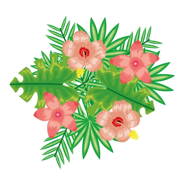 Exotische und tropische Blumen mit Blättern Gartendekoration — Stockvektor