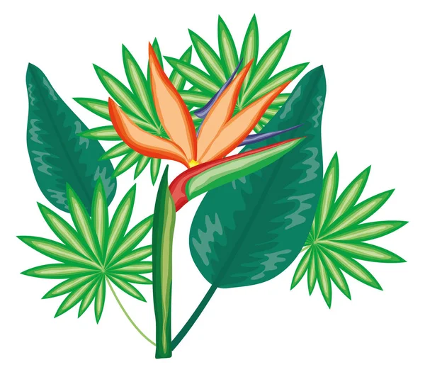 Tropical heliconia flower and leafs plants — Stockvector