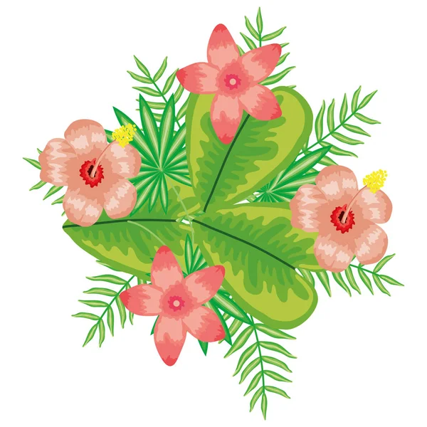 Egzotyczne i tropikalne kwiaty z ozdobą ogrodową liści — Wektor stockowy