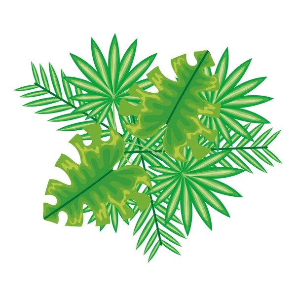 Exotic and tropical leafs plant decoration — 스톡 벡터