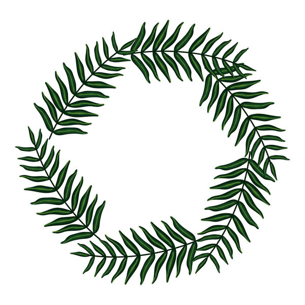 exotic and tropical leafs plants circular frame