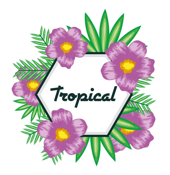 Tropikal çiçek ve yapraklı geometrik çerçeve — Stok Vektör