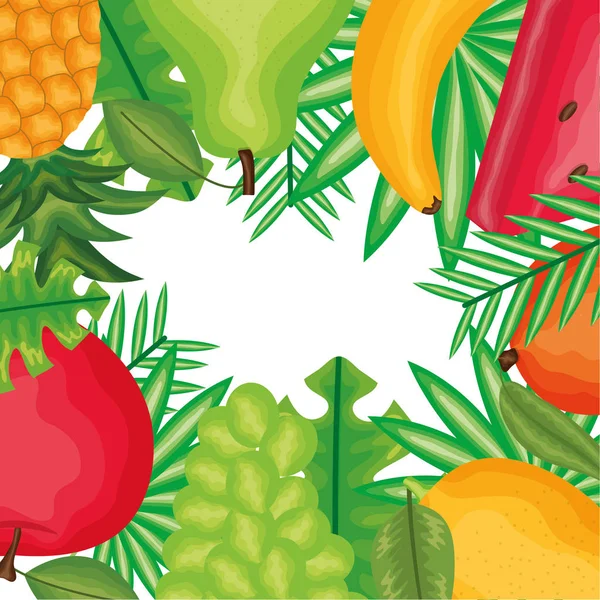 Fresh and tropicals fruits frame — Vector de stock