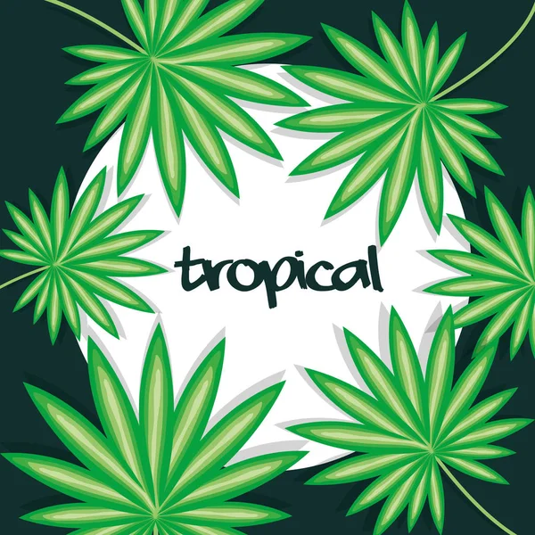 Circular frame with tropical leafs — Vetor de Stock