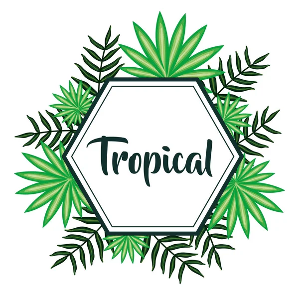 Geometric frame with tropical leafs — Vector de stock
