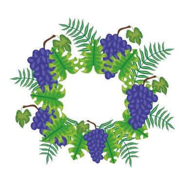 Yapraklı taze üzümler.