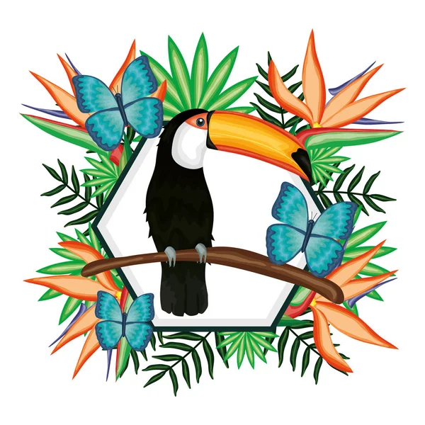 Beautiful toucan and butterflies with floral decoration — Stockvektor