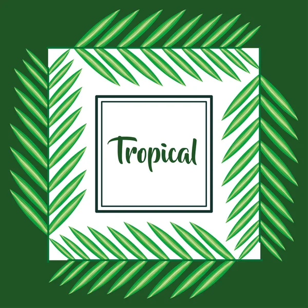 Tropikal yapraklarla kare çerçeve — Stok Vektör