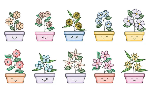 Set of garden plants in square pots kawaii characters — Archivo Imágenes Vectoriales