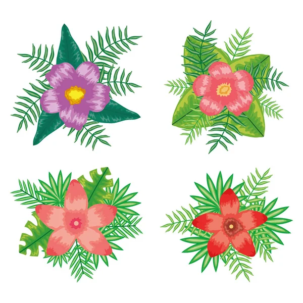 Set of tropical flowers and leafs plants — стоковый вектор