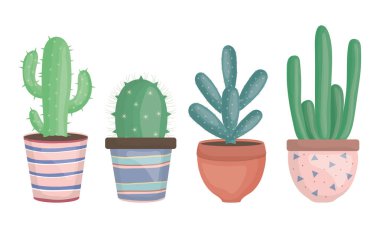 set of exotic cactus plants in ceramic pots