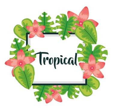square frame with tropical flowers and leafs