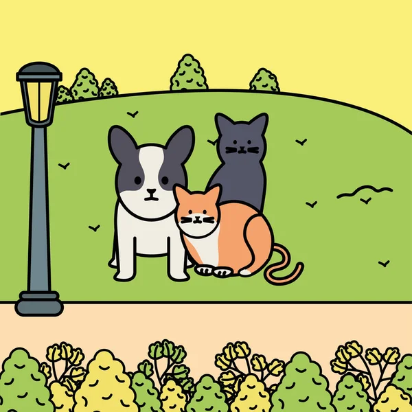 Bonito gatos e cão mascotes no o parque — Vetor de Stock