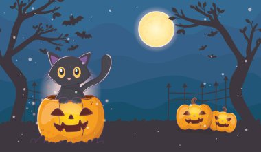 Fenerli şirin kedi Cadılar Bayramı balkabağı