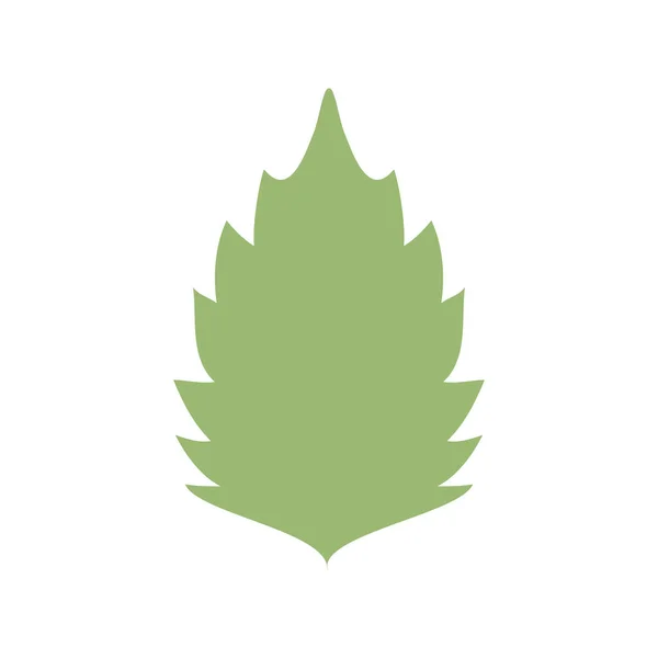 Planta de hojas jardín naturaleza icono — Vector de stock