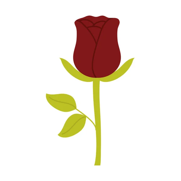 Ros blomma trädgård natur ikon — Stock vektor