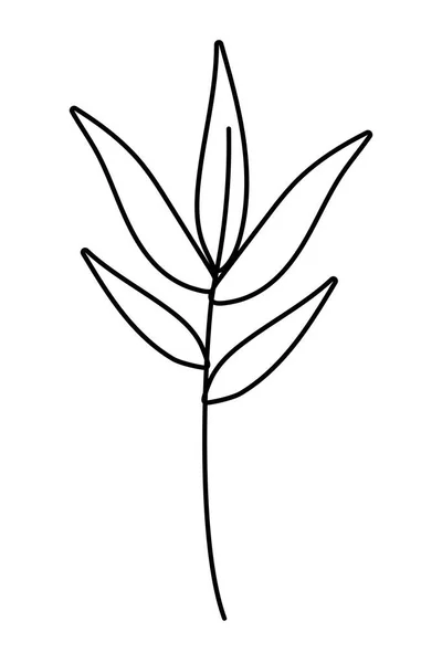 Isolerade löv design vektor illustration — Stock vektor