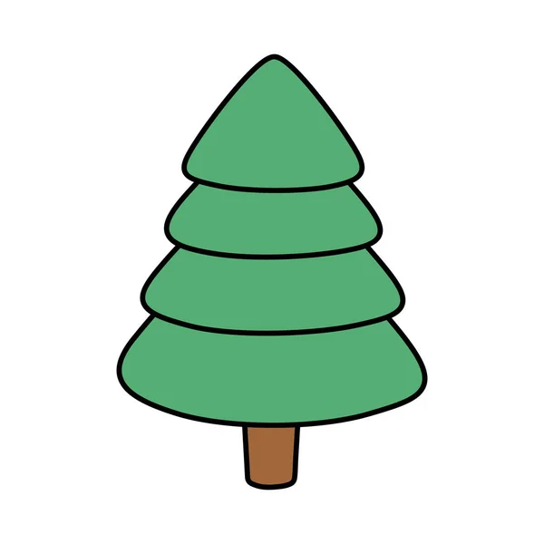 Naaldbomen botanische icoon — Stockvector