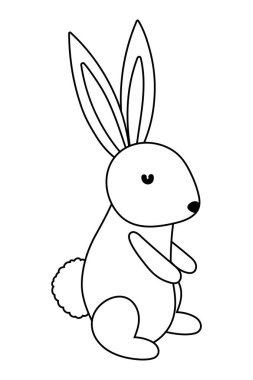 İzole tavşan karikatür vektör tasarımı