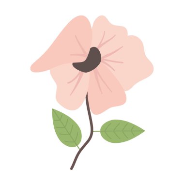 İzole edilmiş kır çiçeği vektör tasarımı