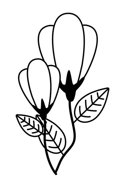 Isolado flor ornamento design vetor ilustração — Vetor de Stock