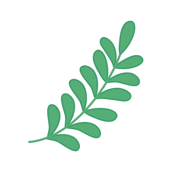 Green branch leaves foliage icon — Vettoriale Stock
