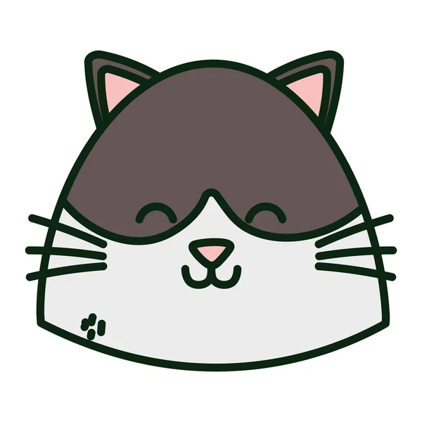 Cute cat brown and white head — Stock Vector
