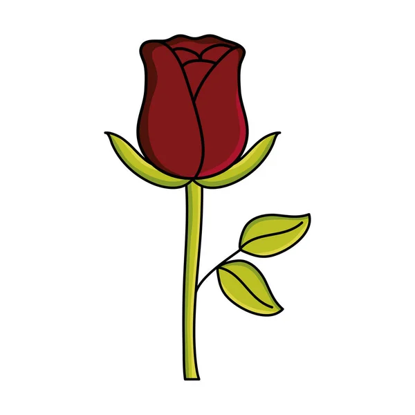Ros blomma trädgård natur ikon — Stock vektor