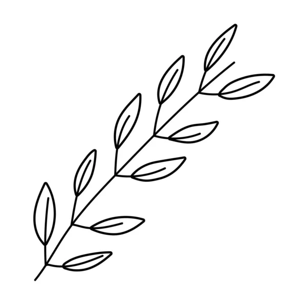 Ilustración de vectores de diseño de hojas aisladas — Vector de stock