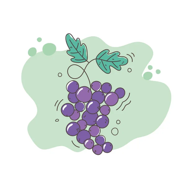 Sana alimentazione alimentare dieta frutta fresca uva icona — Vettoriale Stock