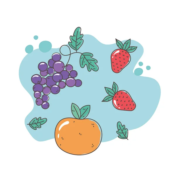 Gesunde Ernährung Ernährung Bio-Orangentrauben und Erdbeerfrüchte — Stockvektor