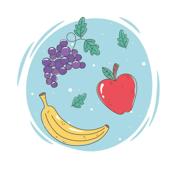 Healthy food nutrition diet fresh fruits banana apple and grapes — Stock Vector