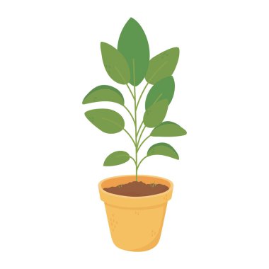 saksı bitkisi iç dekorasyonu izole edilmiş simge tasarımı