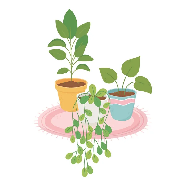 Plantes en pot maison douce sur la décoration de tapis — Image vectorielle
